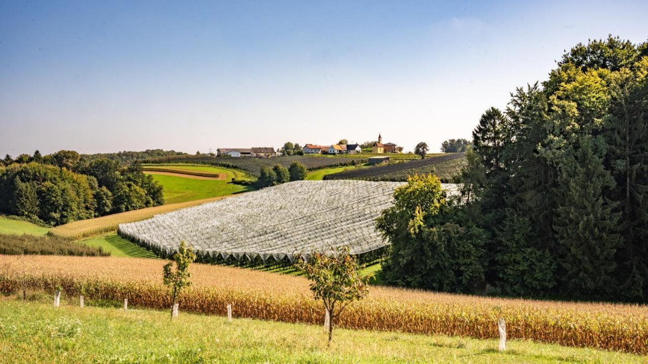 Oko-Neubau Ferienhaus - Kogelbuch Comfort Vila Nestelbach bei Graz Exterior foto